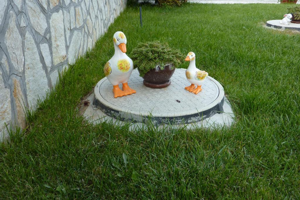 Guest House H Dzhogolanov Koprivshtitsa Bagian luar foto
